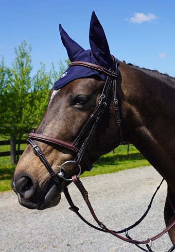 Ear Bonnet