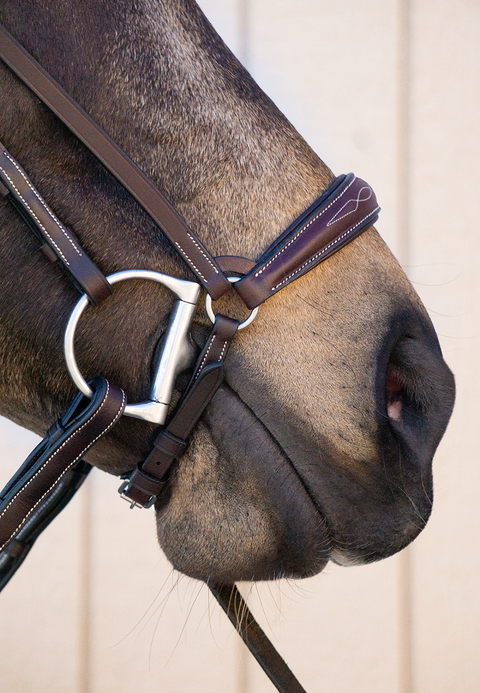 Drop Noseband