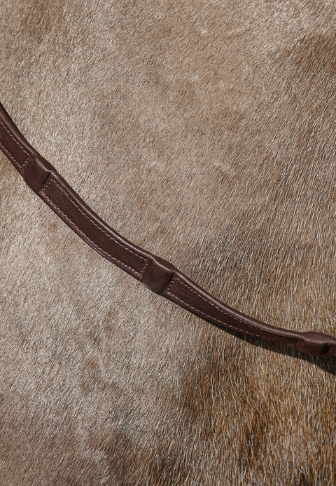 Forked / Split Reins